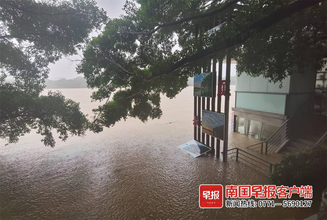 象山公交最新路线,科技重塑城市出行,体验未来公交新畅享