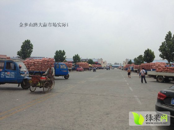 金乡山禄市场最新动态揭秘,最新消息一览无余