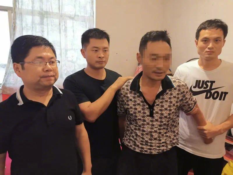 当木当泽最新小说，时代背景下的辉煌篇章