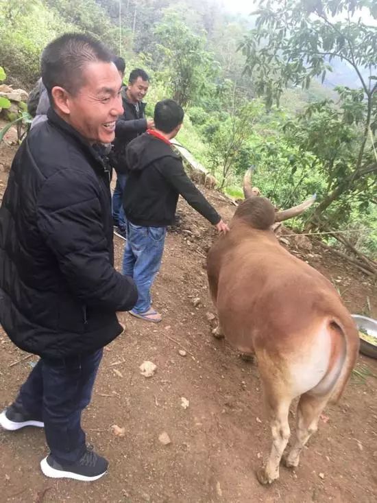 最新斗牛视界,邂逅自然美景,寻觅内心平和之地