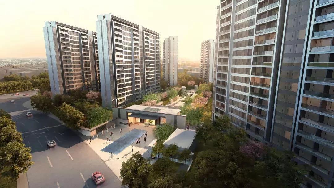 探索上海最新商业指南,商机与机遇一览无余