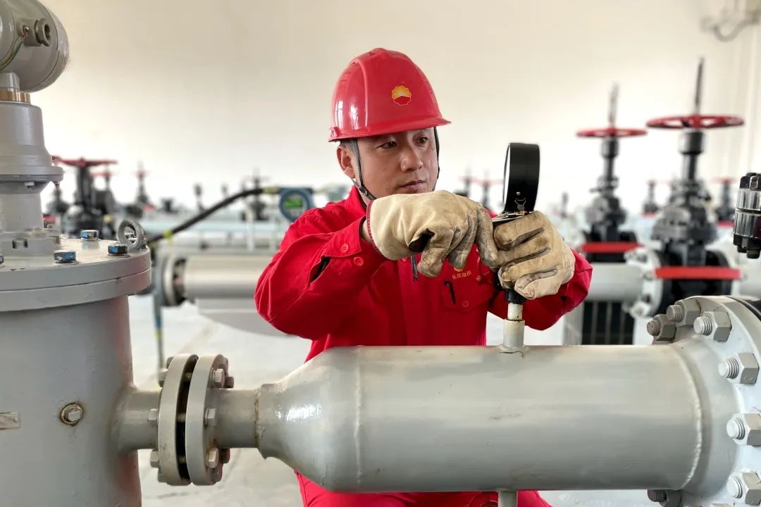 雷锋站长独家心水,安全保障措施_YTR23.996云端版