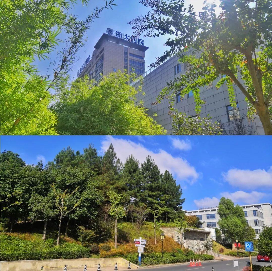 探寻小巷中的艺术瑰宝，最新雕塑招聘启事