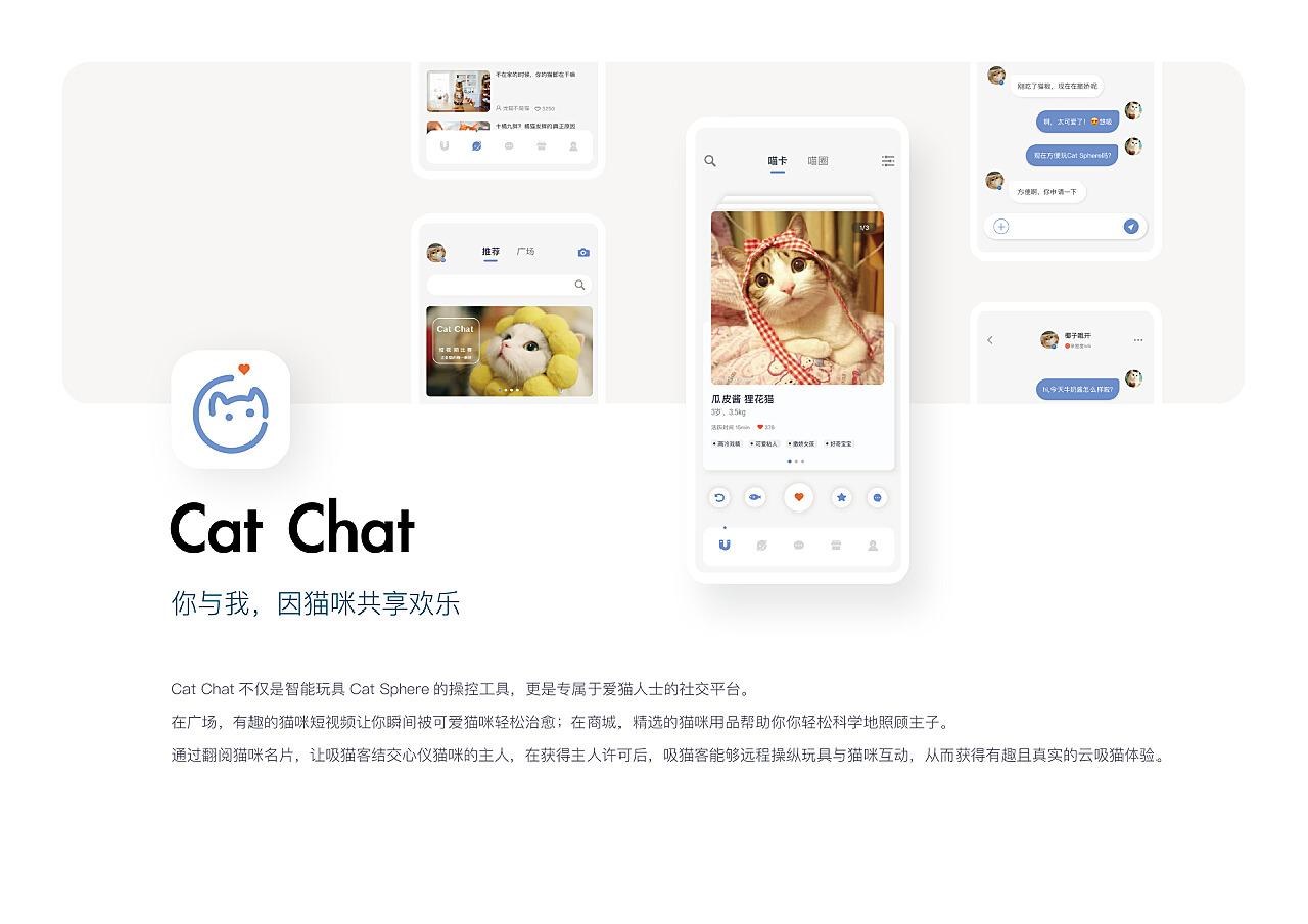 猫咪app最新探索，现代养猫新体验的革命性变革