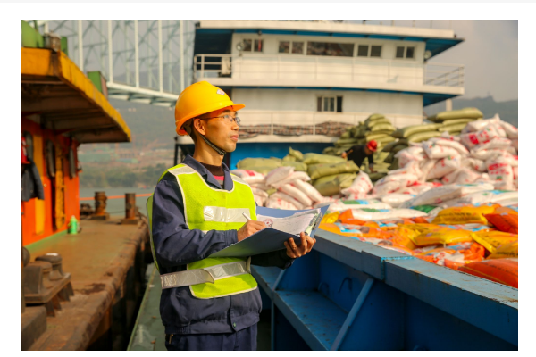 四不像正版资料2024,安全保障措施_YIO41.603实验版