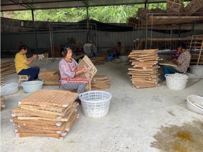 蚕茧最新价格指南,获取与理解蚕茧市场价格的策略与趋势分析