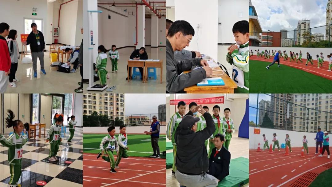 最新健康数据大揭秘,全面了解身体状况!📊💪