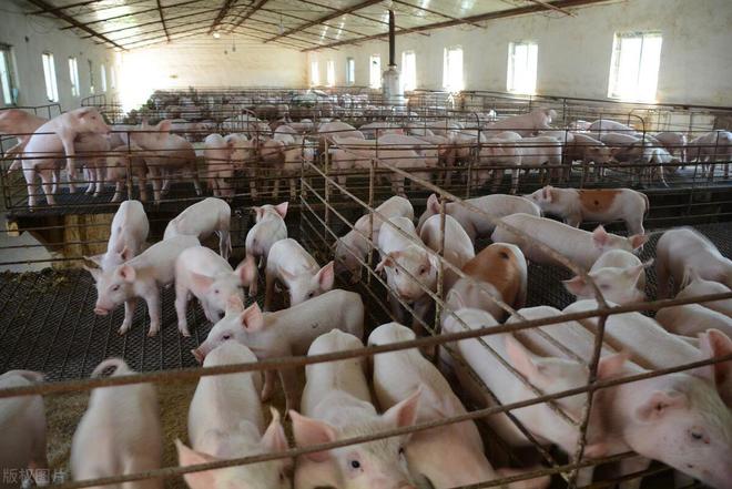 服务案例 第490页