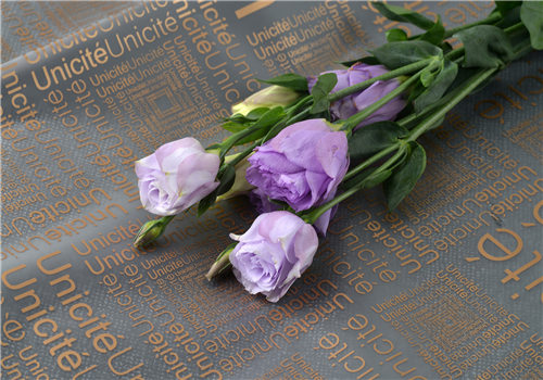 桔梗价格最新动态分析,最新行情及趋势预测