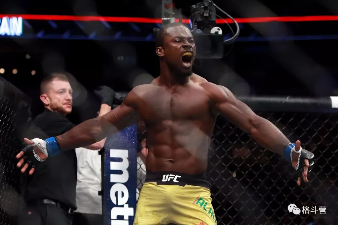 最新UFC比赛,激烈竞技与综合格斗艺术的巅峰对决