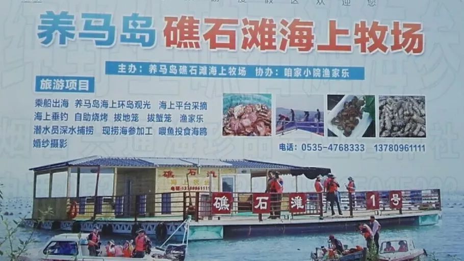 澳门最精准免费资料大全旅游团,动力机械及工程热物理_IID41.188声学版