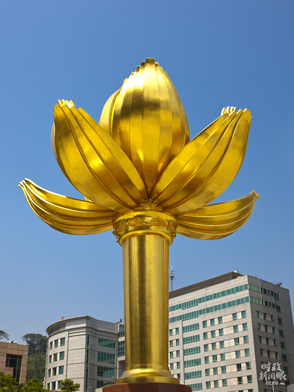 澳门最准四不像,时尚法则实现_UVO93.831家庭版