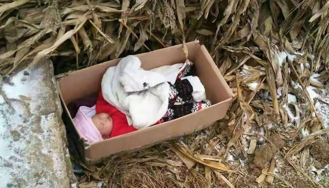 武汉弃婴最新科技产品介绍与更新