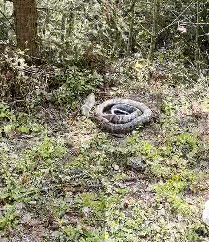 济南最新发展动态,城市步伐向前,前景展望令人期待