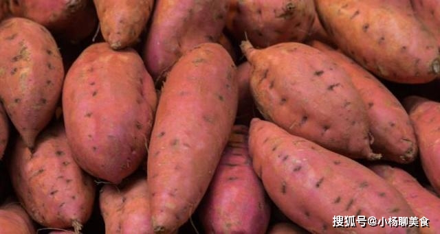 红薯价格最新,红薯价格最新,小巷深处的特色小店探秘