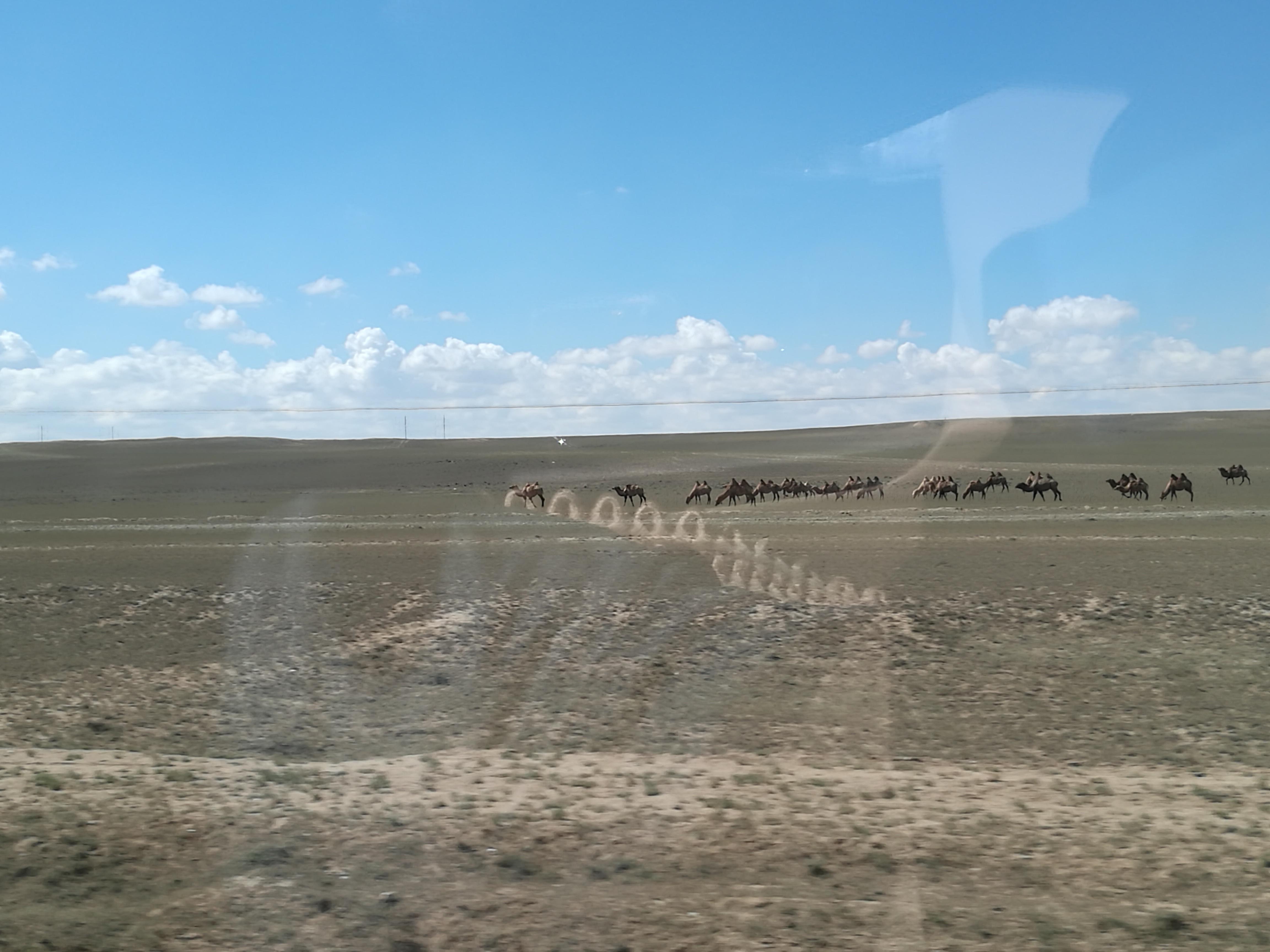 南京游记，友情的温暖与家的欢乐