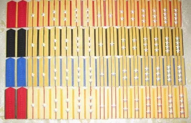 武警最新肩章,🌟武警最新肩章🌟