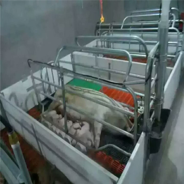 最新母猪产床,自然美景鼓舞之旅的启程点