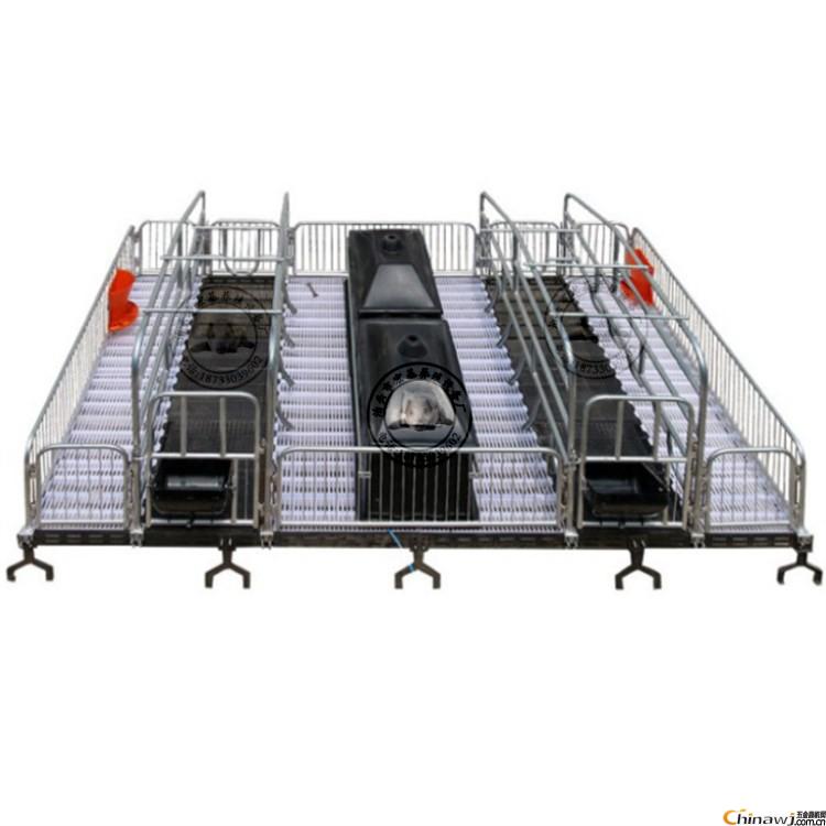 最新母猪产床,自然美景鼓舞之旅的启程点