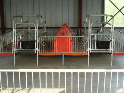 最新母猪产床,自然美景鼓舞之旅的启程点