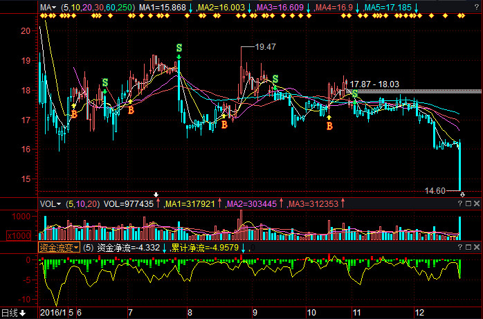 600485最新公告,600485最新公告，启程，探索自然美景的治愈之旅