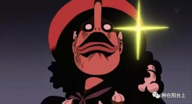 路飞最新表情，鼓舞之旅探索自然美景