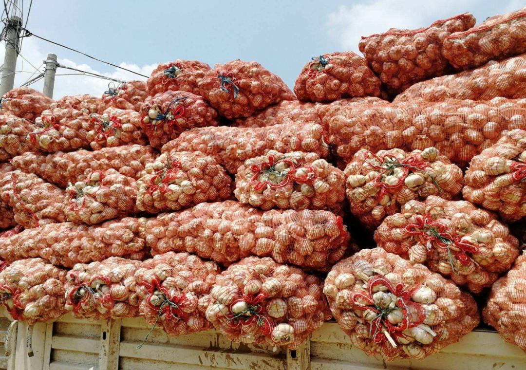 蒜最新价格,蒜最新价格，一颗小蒜的成长与价格的变迁，如何激发我们内心的自信与力量