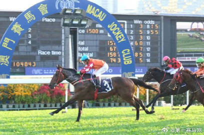 2024新澳门马会传真,快速问题解答_KPK41.971视频版