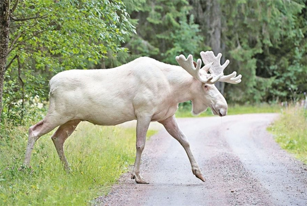 搬家必读 第468页