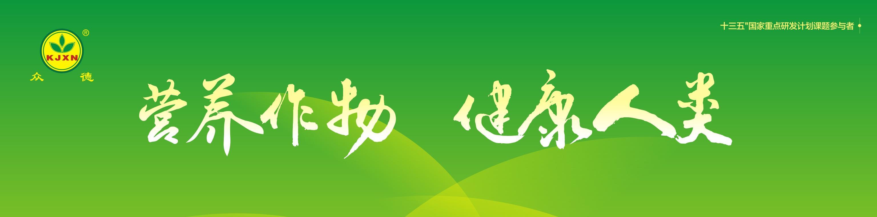 尿素最新报价，时代见证与市场的脉动