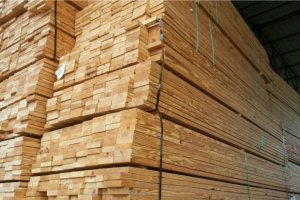 最新原木价格背后的故事揭秘,探寻木材市场温情脉络