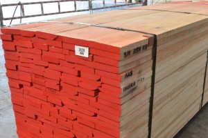 最新原木价格背后的故事揭秘,探寻木材市场温情脉络