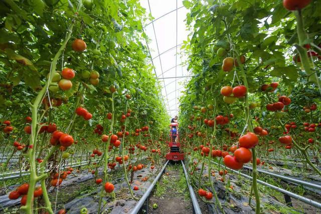 广汉最新兼职,广汉最新兼职，探索兼职新领域，开启赚钱新模式