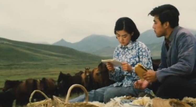 美国最新电影探秘，小巷深处的电影宝藏