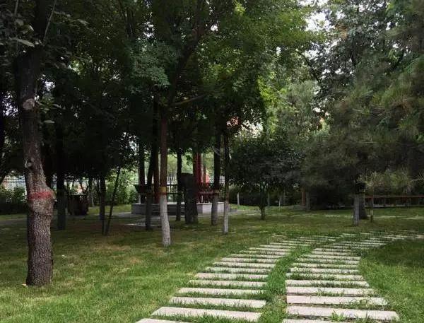 最新电力招聘趋势与职业机遇深度探索