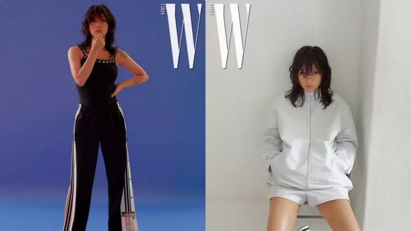 李孝利的民宿最新,李孝利的民宿最新,深度探讨其现象及其影响