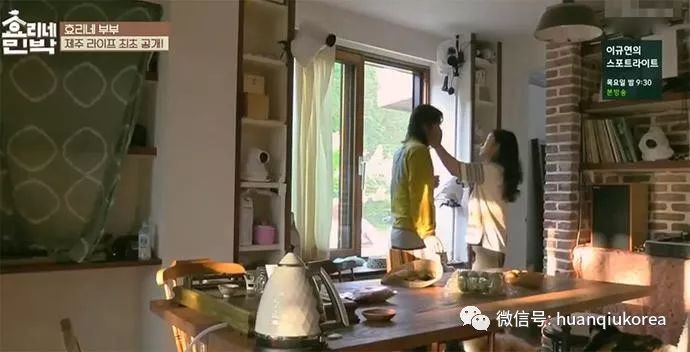 李孝利的民宿最新,李孝利的民宿最新,深度探讨其现象及其影响