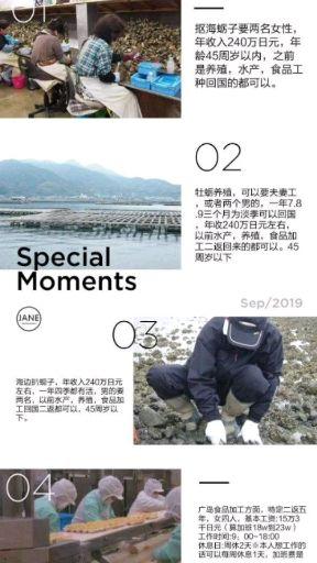 日本二返最新消息,日本二次返迁最新消息及其观点探析