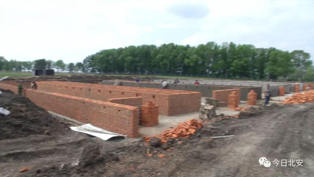 温氏猪舍最新建设图纸,现代养殖业的科技典范