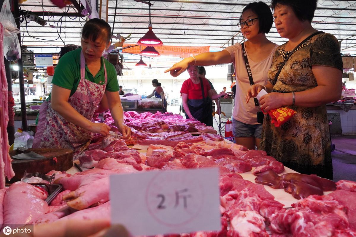 温氏猪舍最新建设图纸,现代养殖业的科技典范