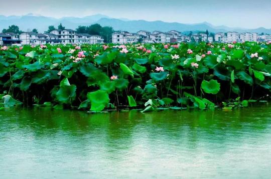 达州开江新闻最新消息,达州开江新闻最新消息,一场自然美景的探索之旅,寻找内心的平和与宁静