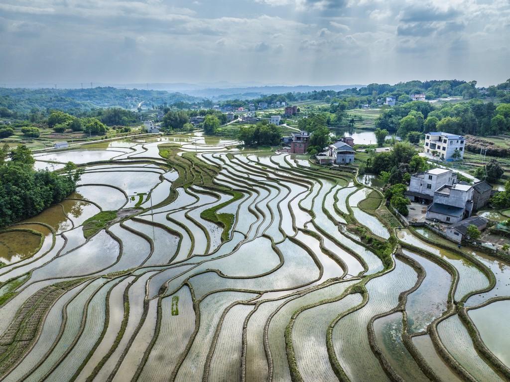 泸州太伏事件最新进展,详细步骤指南