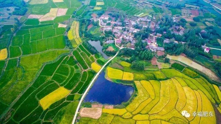 肥东恒大绿洲最新房价,肥东恒大绿洲的房价秘闻，一个温馨的日常故事