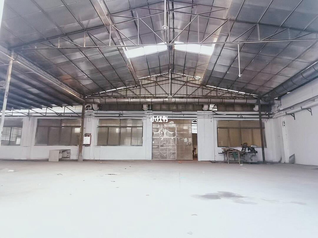 厂房求租最新消息,厂房求租最新消息与一段温馨的寻梦之旅