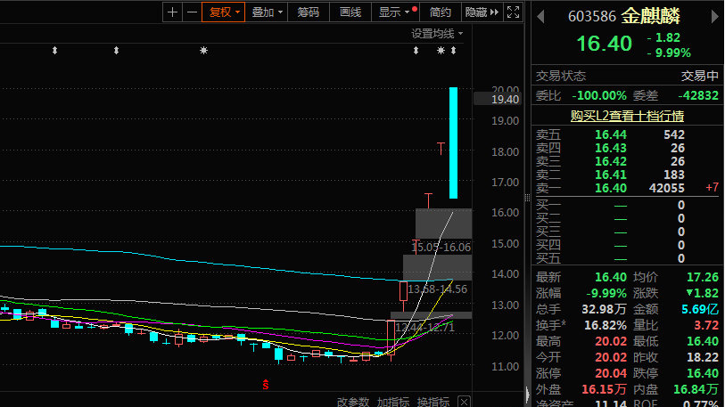 金麒麟股票最新消息,金麒麟股票最新消息，深度分析与观点阐述