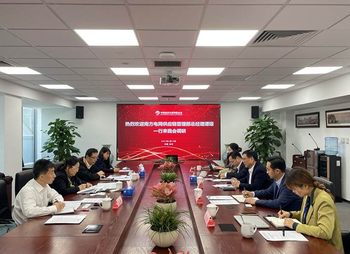 南方电网谭琼最新动态,南方电网谭琼的最新动态，电网之光，励志之旅