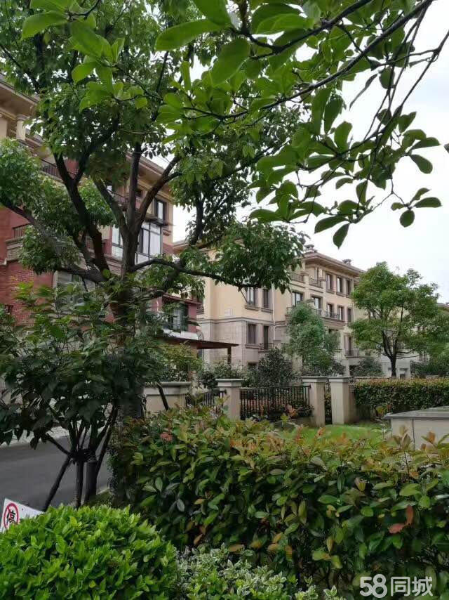 湖州江南美墅最新房价,湖州江南美墅最新房价探析