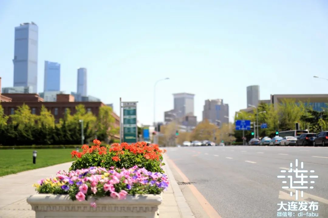 金普新区石河最新新闻,金普新区石河最新新闻，小巷深处的独特风味