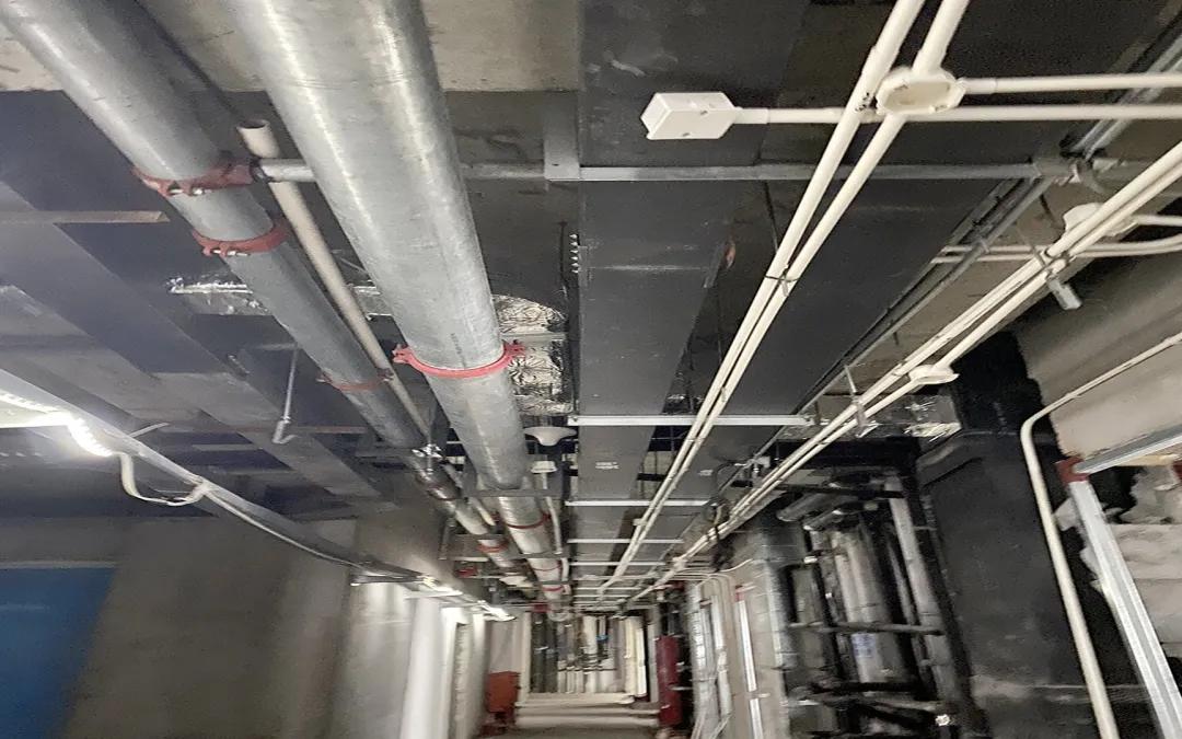 萍乡润达国际最新招聘,萍乡润达国际最新招聘日常,友情的纽带与工作的奇遇