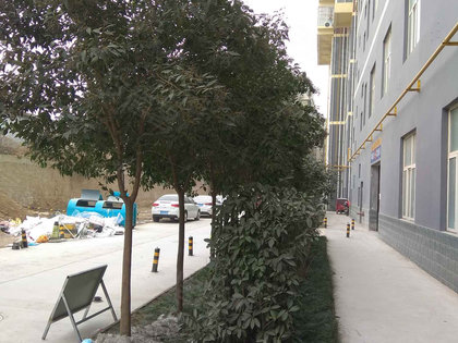 骊山名居最新消息,骊山名居最新消息,揭开骊山脚下的宜居新篇章